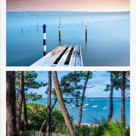 Appartement Vue Sur Baie Et Ocean, 100 M De La Et Du Centre Par Chemin Prive Arcachon